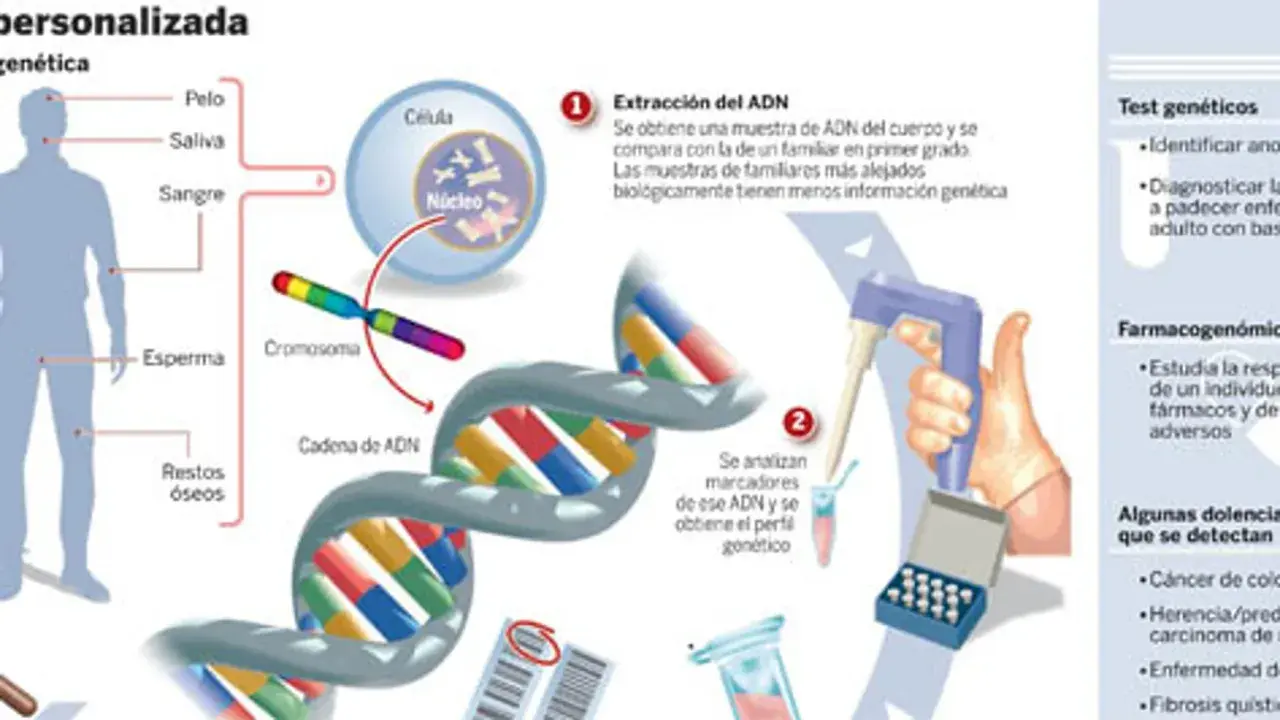 Ilustración sobre ADN y genética, mostrando la extracción, análisis y aplicaciones, incluyendo la importancia de los antecedentes familiares.