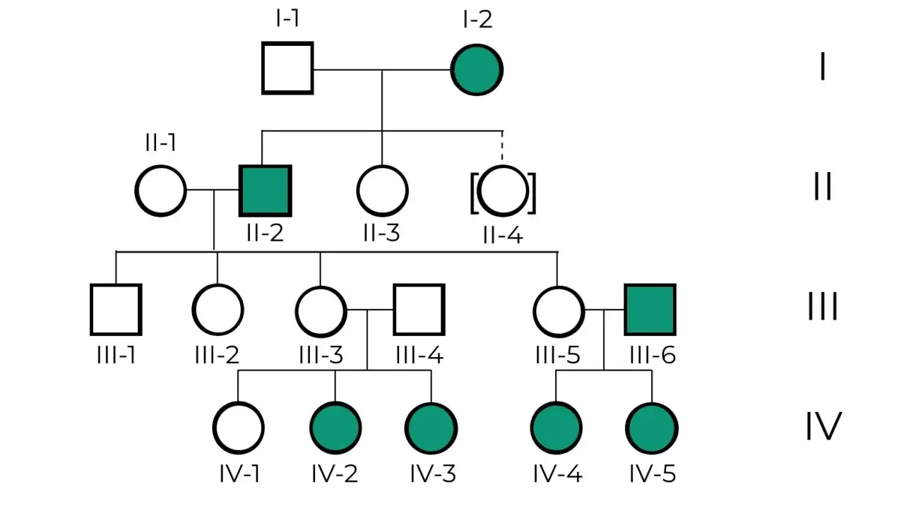 Ejemplos de árbol genealógico mostrando herencia de un rasgo. Círculos representan mujeres, cuadrados hombres. Individuos afectados en verde.