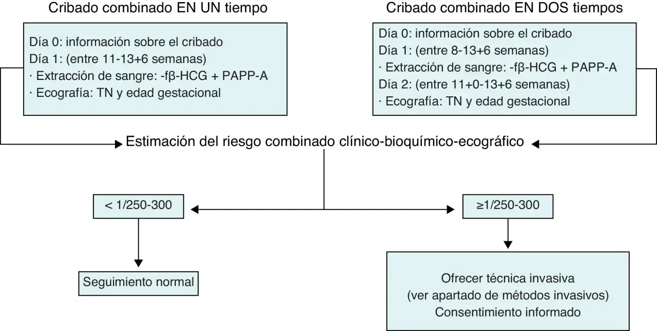 Diagrama de cribado prenatal para estimar el riesgo de trisomías más comunes. Incluye análisis de sangre y ecografía.