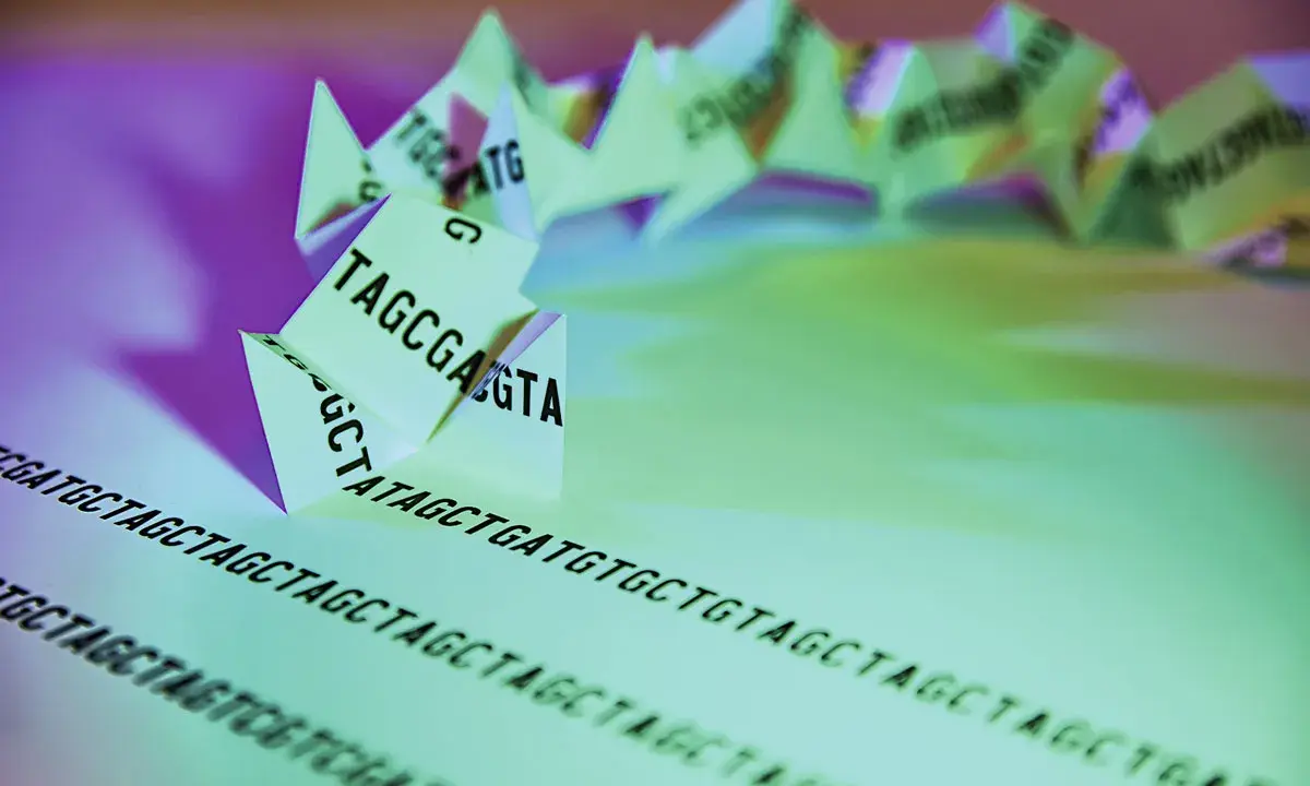 Secuencia de ADN plegada en forma de origami, representando el genotipo humano. Las letras A, T, C, G forman la cadena genética.