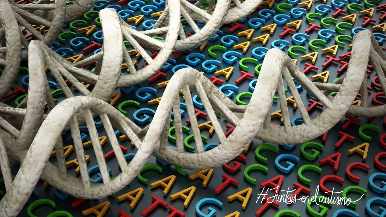 Doble hélice de ADN sobre letras genéticas de colores. El autismo es genético, un mensaje de esperanza y comprensión. #JuntosEnElAutismo