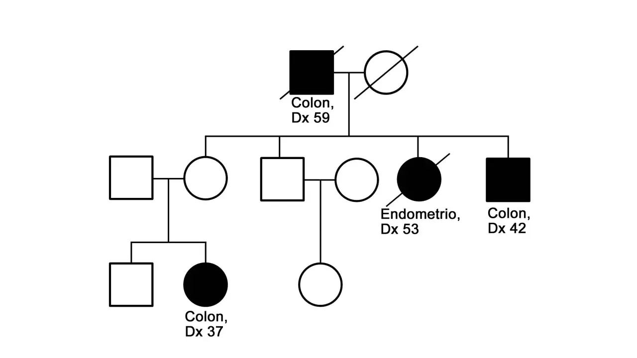 Árbol genealógico para construir la historia familiar de Lynch, mostrando casos de cáncer de colon y endometrio.