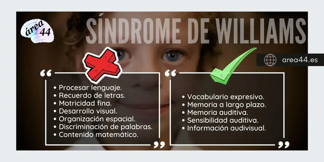 El síndrome de Williams se caracteriza por dificultades en el lenguaje y la motricidad, pero con un vocabulario expresivo y memoria auditiva destacables.