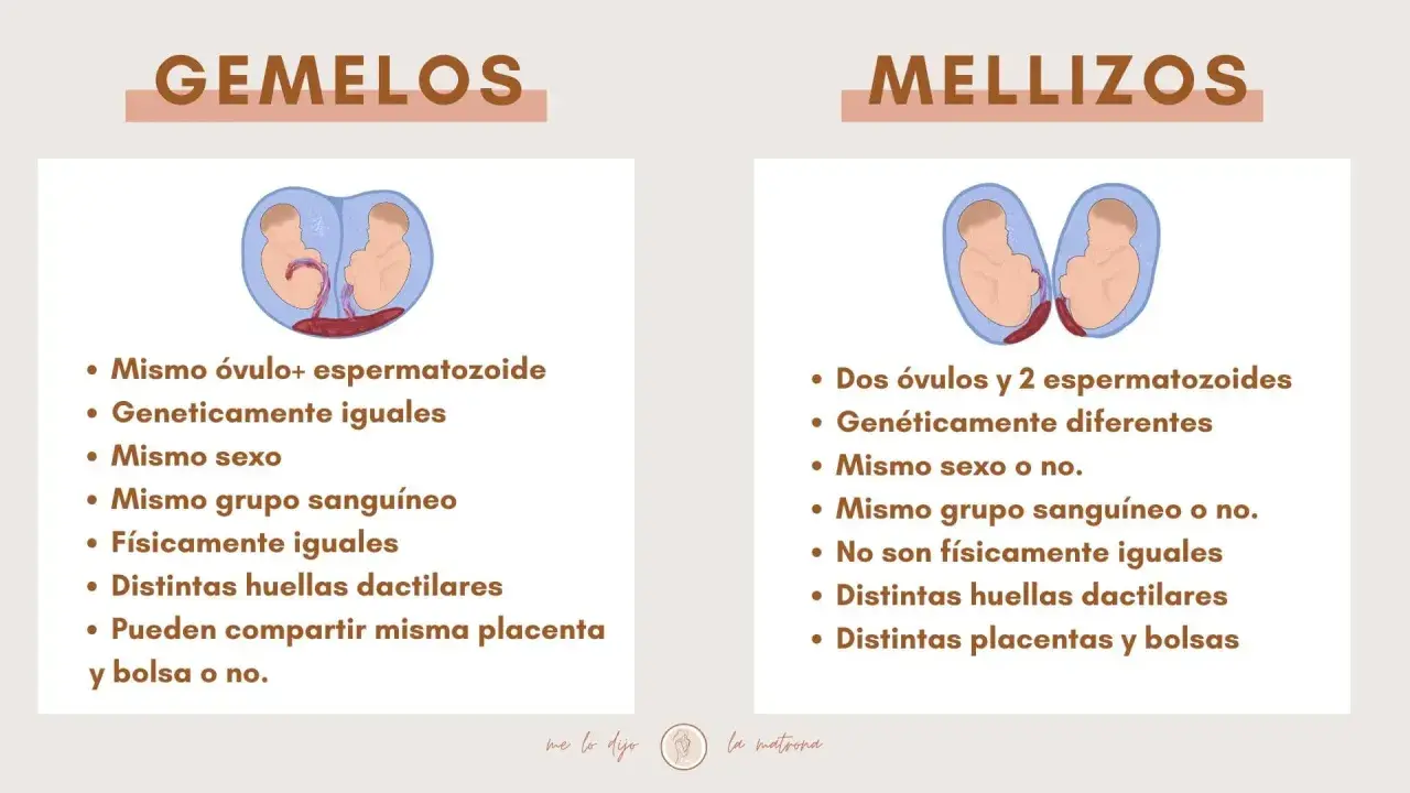 Infografía que explica la diferencia entre gemelos y mellizos, detallando su origen genético y características físicas.
