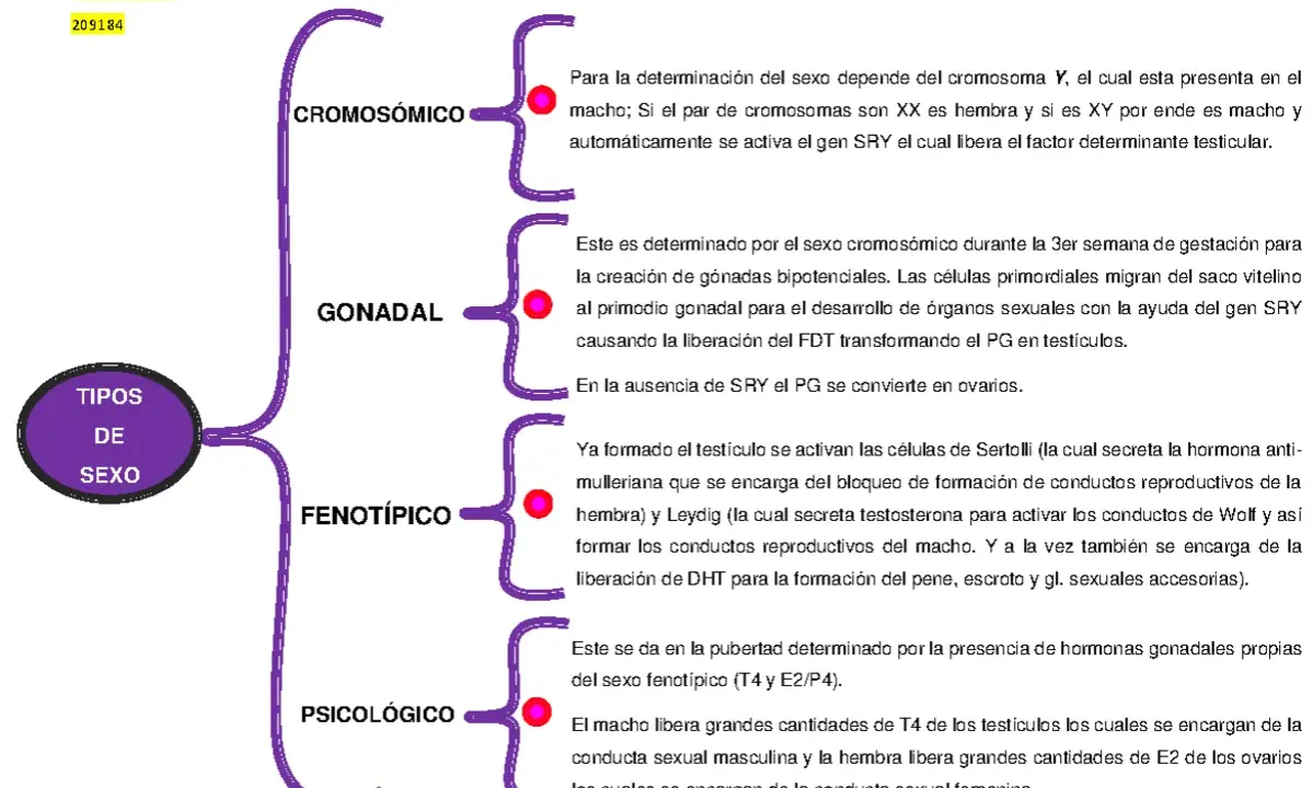Mapa mental sobre los tipos de sexo: cromosómico, gonadal, fenotípico y psicológico.