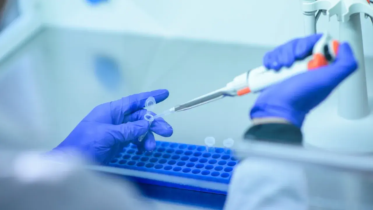 Manos con guantes azules manipulan tubos de ensayo y pipeta. Lydia Fairchild trabaja en el laboratorio, investigando con precisión.