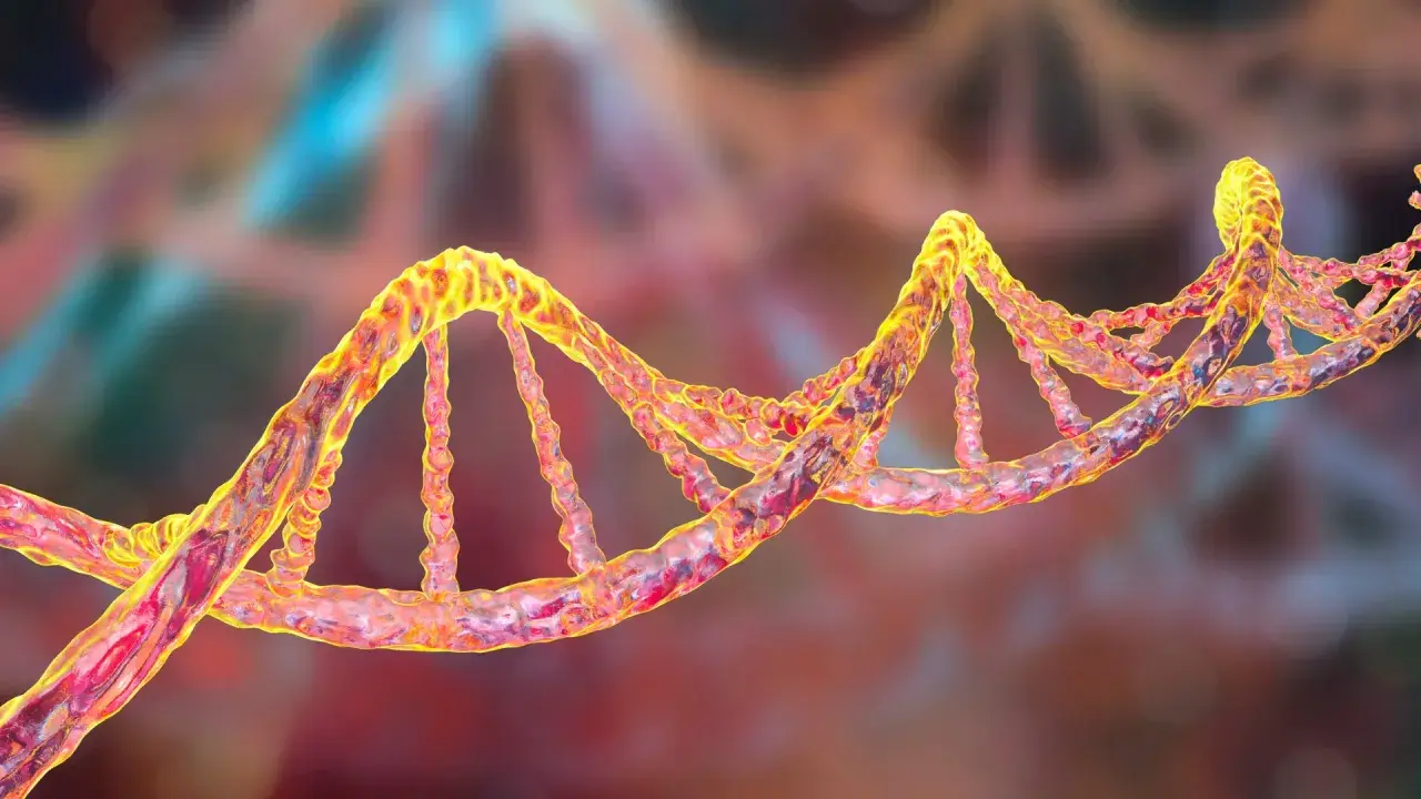 Una doble hélice de ADN, que representa la genética. Se investiga si el alzheimer se hereda de la madre.