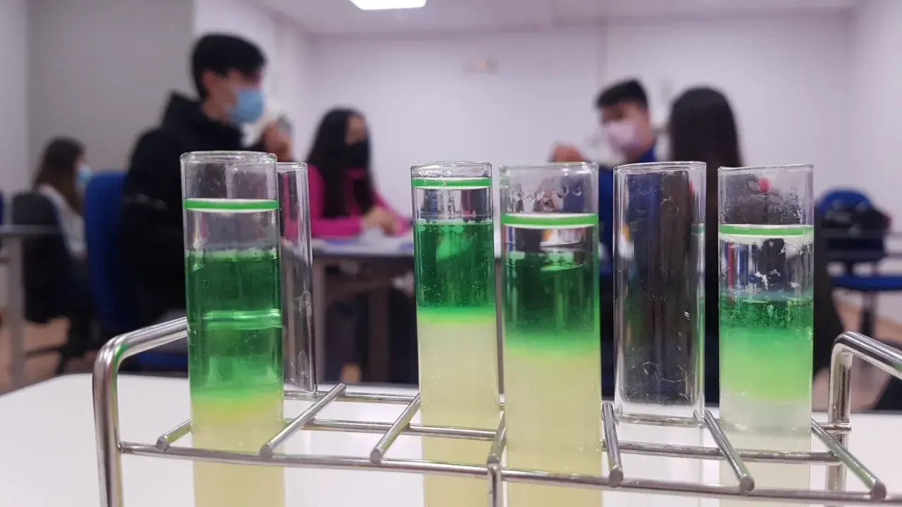 Tubos de ensayo con capas verdes y amarillas, parte de un experimento de extraccion adn en un laboratorio escolar.