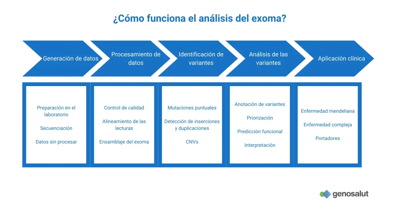 Diagrama del análisis del exoma: desde la generación de datos hasta la aplicación clínica, incluyendo identificación y análisis de variantes.