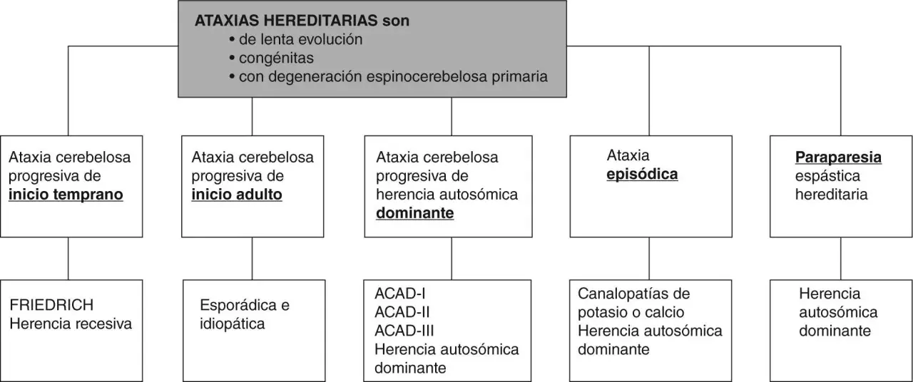 Diagrama de ataxias hereditarias, incluyendo la ataxia de Friedreich, que se hereda de forma recesiva.
