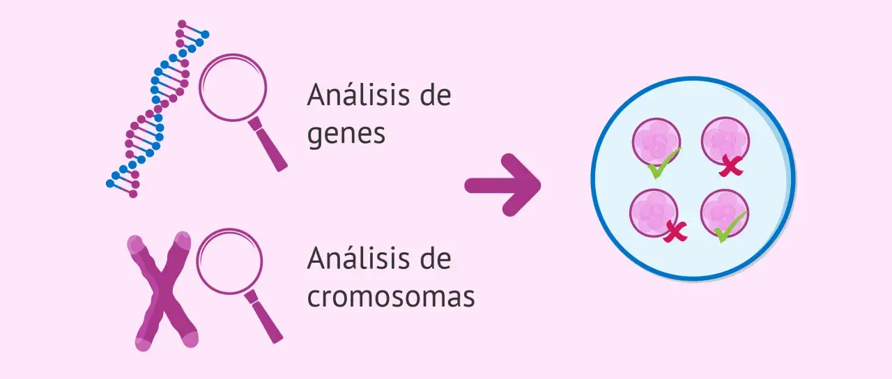 Análisis genético y cromosómico para detectar si la esclerosis múltiple es hereditaria.