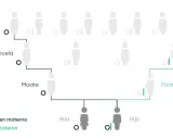 Diagrama de árbol genealógico que ilustra el porcentaje de ADN entre familiares, mostrando el origen materno (ADN mitocondrial) y paterno (cromosoma Y).