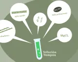Componentes para un experimento de pcr laboratorio: ADN molde, cebadores, Taq polimerasa, MgCl2 y solución tampón.