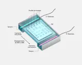 Diagrama de los tipos de electroforesis: gel, pocillos de muestra, electrodos y fragmentos de ADN/ARN separados por tamaño.