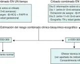 Diagrama de cribado prenatal para estimar el riesgo de trisomías más comunes. Incluye análisis de sangre y ecografía.