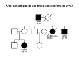 Árbol genealógico para construir la historia familiar de Lynch, mostrando casos de cáncer de colon y endometrio.