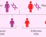 Diagrama de herencia: padre sano y madre enferma, con 50% de hijos sanos y 50% enfermos, ilustrando las causas de la enfermedad de Huntington.
