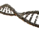 Una doble hélice de ADN, representando la huella genética, con un aspecto cristalino y brillante sobre fondo blanco.