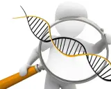 Figura 3D observa una doble hélice de ADN con una lupa, simbolizando la investigación de la diversidad genética.
