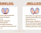 Infografía que explica la diferencia entre gemelos y mellizos, detallando su origen genético y características físicas.