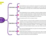 Mapa mental sobre los tipos de sexo: cromosómico, gonadal, fenotípico y psicológico.