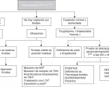 Diagrama de flujo para diagnóstico de hipotiroidismo congénito. Evalúa captación tiroidea, ultrasonido y niveles de tiroglobulina/yoduria para determinar causas.