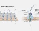 Ilustración de secuenciación por nanoporos: ADN pasa por un nanoporo, generando una corriente iónica que se registra.