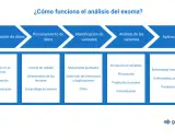 Diagrama del análisis del exoma: desde la generación de datos hasta la aplicación clínica, incluyendo identificación y análisis de variantes.
