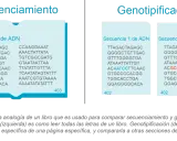 Secuenciamiento y genotipificación comparan secuencias de ADN. La genotipificación resalta diferencias, útil en varios tipos de PCR.
