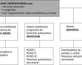 Diagrama de ataxias hereditarias, incluyendo la ataxia de Friedreich, que se hereda de forma recesiva.
