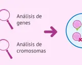 Análisis genético y cromosómico para detectar si la esclerosis múltiple es hereditaria.