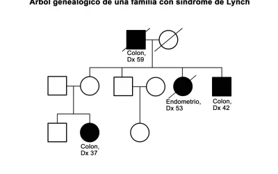 Árbol genealógico para construir la historia familiar de Lynch, mostrando casos de cáncer de colon y endometrio.