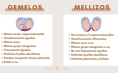 Infografía que explica la diferencia entre gemelos y mellizos, detallando su origen genético y características físicas.