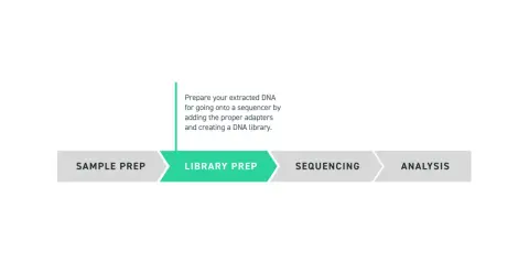 Diagrama del proceso de secuenciación: preparación de muestra, preparación de librería para exoma completo, secuenciación y análisis.