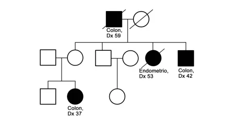 Árbol genealógico para construir la historia familiar de Lynch, mostrando casos de cáncer de colon y endometrio.
