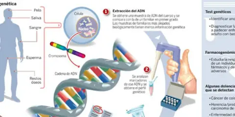 Ilustración explica qué es la genética: extracción de ADN de muestras biológicas, análisis de cromosomas y cadenas de ADN para perfiles genéticos y pruebas.