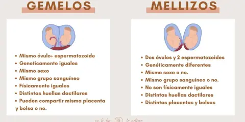 Infografía que explica la diferencia entre gemelos y mellizos, detallando su origen genético y características físicas.