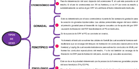 Mapa mental sobre los tipos de sexo: cromosómico, gonadal, fenotípico y psicológico.