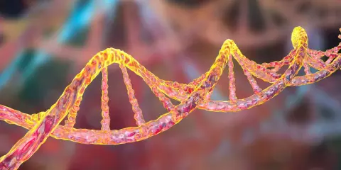 Una doble hélice de ADN, que representa la genética. Se investiga si el alzheimer se hereda de la madre.