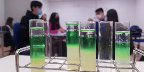 Tubos de ensayo con capas verdes y amarillas, parte de un experimento de extraccion adn en un laboratorio escolar.