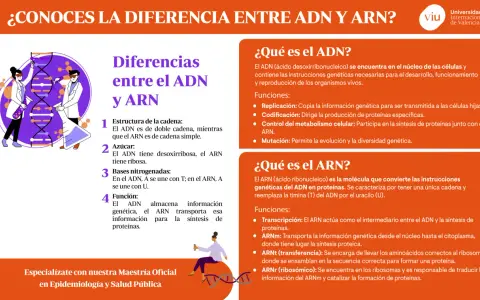 Ilustración comparativa de la adn y arn estructura, mostrando científicos y moléculas.