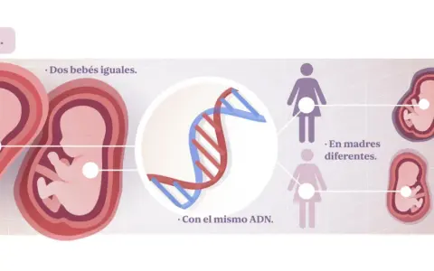 Dos fetos idénticos con el mismo ADN, pero en madres distintas, ilustran la herencia epigenética y cómo influye en características diferentes.