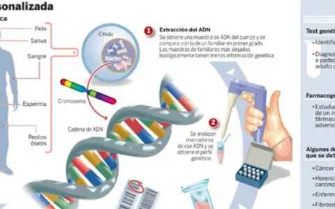 Ilustración sobre ADN y genética, mostrando la extracción, análisis y aplicaciones, incluyendo la importancia de los antecedentes familiares.