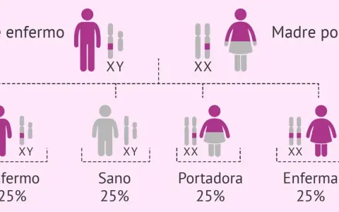 Diagrama muestra cómo las enfermedades se heredan del padre o de la madre. Padre enfermo (XY) y madre portadora (XX) tienen hijos sanos, enfermos o portadores.