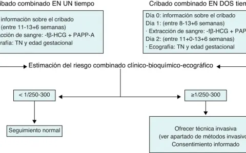 Diagrama de cribado prenatal para estimar el riesgo de trisomías más comunes. Incluye análisis de sangre y ecografía.
