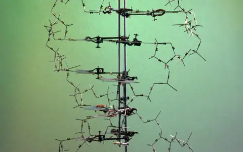 Modelo tridimensional de la doble hélice del ADN, un hito en la historia del adn. Muestra la estructura molecular con sus bases nitrogenadas.