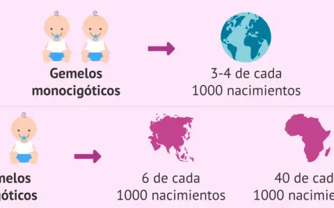 La imagen muestra que tener gemelos dicigóticos es hereditario, con tasas de nacimientos variables por continente.