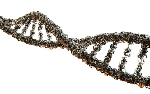 Una doble hélice de ADN, representando la huella genética, con un aspecto cristalino y brillante sobre fondo blanco.