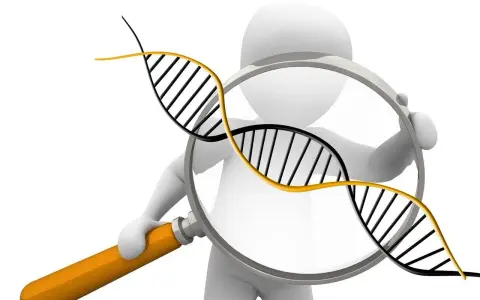 Figura 3D observa una doble hélice de ADN con una lupa, simbolizando la investigación de la diversidad genética.