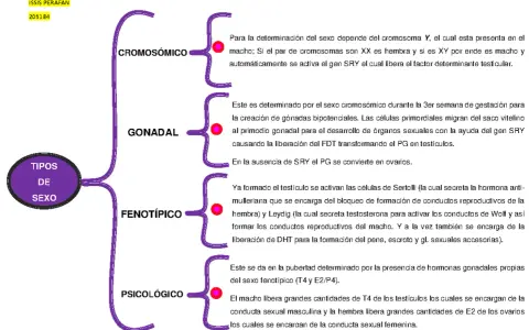 Mapa mental sobre los tipos de sexo: cromosómico, gonadal, fenotípico y psicológico.